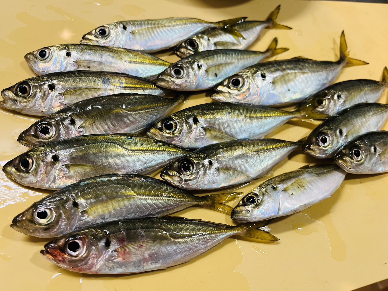 line_oa_chat_231021_115201