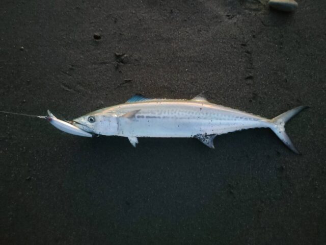 line_oa_chat_231025_151912