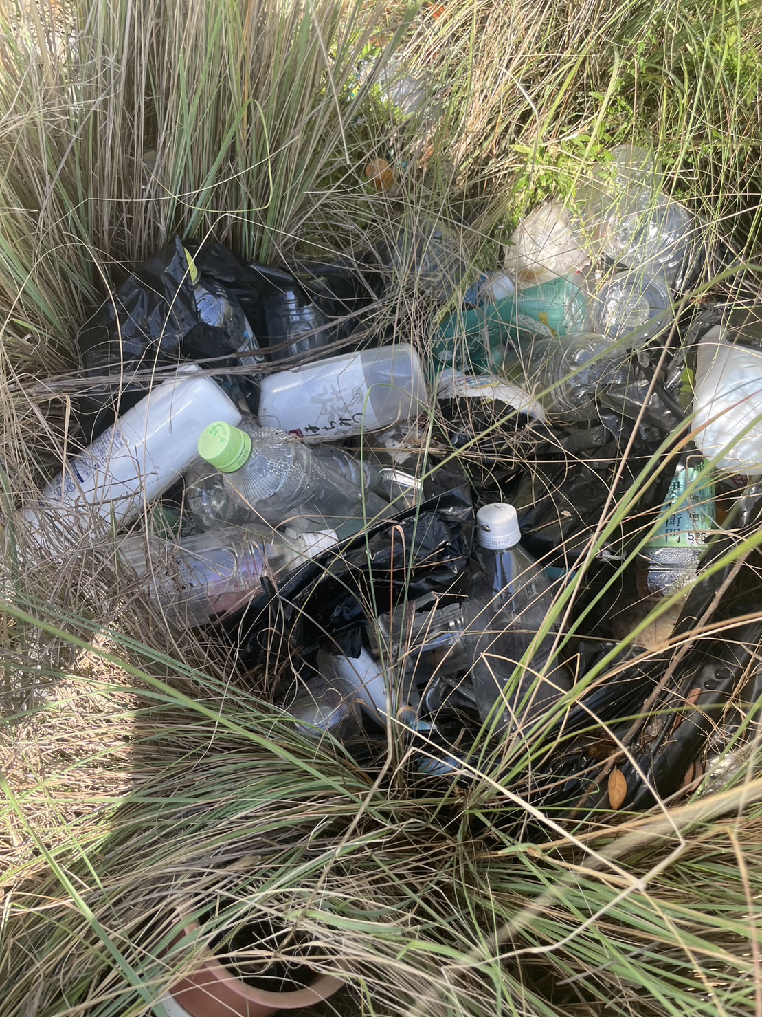 oOcWQlXPi_nlQakpKaF2v8pRiqdCjyoVAME_N9X4M0uZrpK2TNoG6WI0bVwETxxgnrujQlrpzo0_wWVJoQXVmtgft5MsDFbIzjRg3aIjymJF-XKEhMGcyI4RFJs-QyVoQQq1-WG3eFy_I7uXKcbEYg==