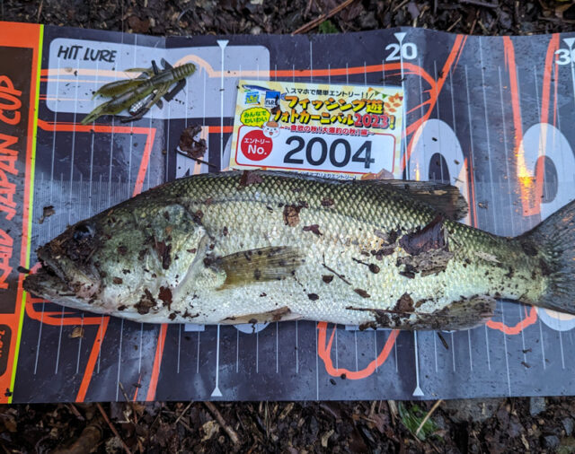 pxl_20231008_211812382