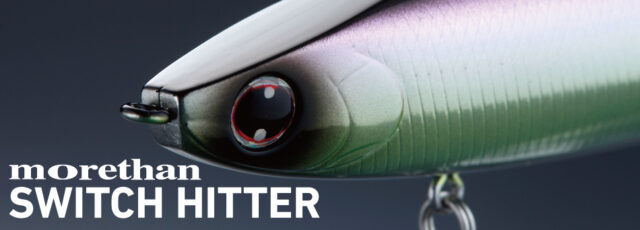 switchhitter_image
