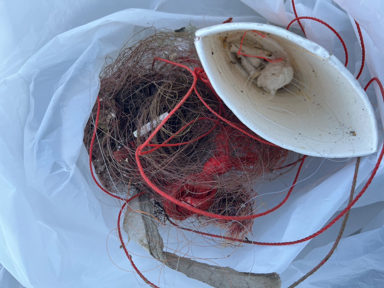 BYlXBUOc_06DyvqHuhTWE6dgK3hM1ARDynpYIN_tI3su6Paek0002tNbErijPBGPtAMMq8esY1zp079Fh-2GmqBPMh45143HuSQcd2kNCbVVV6AxzoiKmeMT9OXrRN_3PGAWgRoNfwFFSQkqTkXAuA==