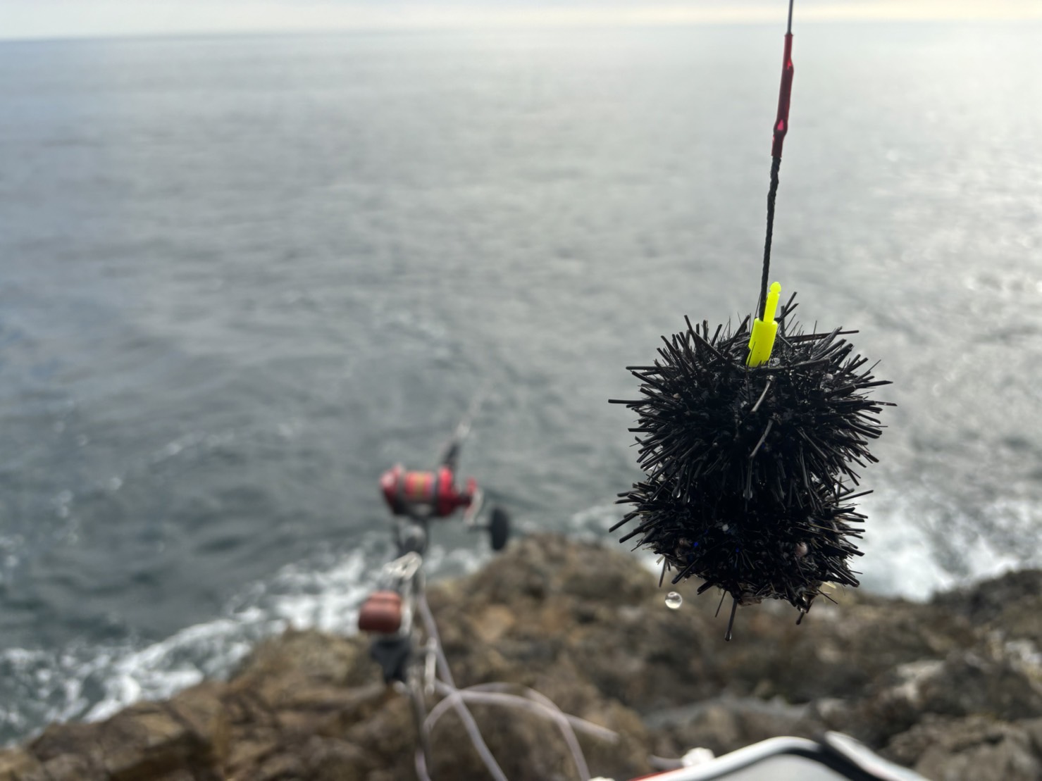 ZXqt3t5G6buMLxNvtnHv04GzniJuykWhoF_h2U1CHnN5i4eDimRStIRuxKOY6TjY0ct9f9W8ExmPegOPIa43GA78i0kzQ2W9-M7jUUGUj_vXJDnmdhABQ-3PFxYHL0VakpngZXezwyv0UN-p8nCI8Q==