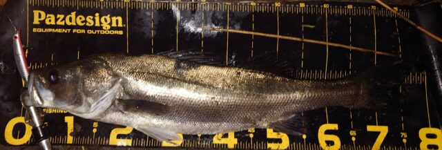 ebLEfrqfN0IwOqCqM5mQw3d6PjpzgyjrMdVWLfznuq4iRFDFCD-nrqDa0Ejb7I7ZEf4Ruq5cbbMDw1yUqI7kJIMRUqMK9yVEBIBSj3owsZyHZ5iIA9CTQvcs4HIuOX28kCPUNF5rJUTpUxwFl42Qjw==