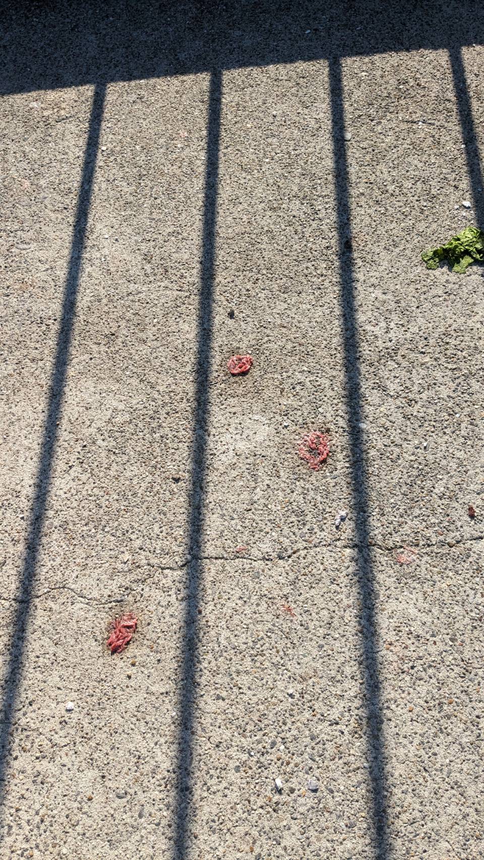 line_oa_chat_231127_133308