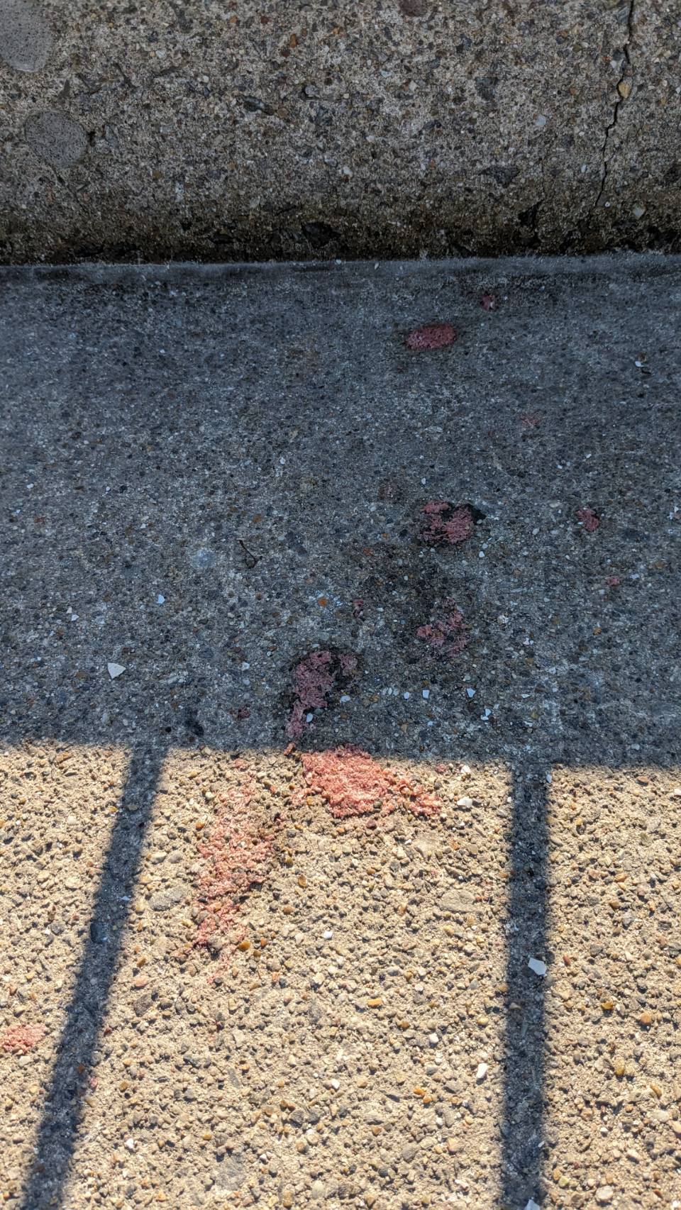 line_oa_chat_231127_133310