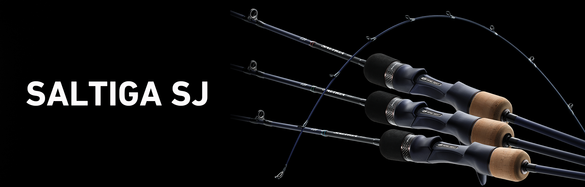 SALTIGA_SJ