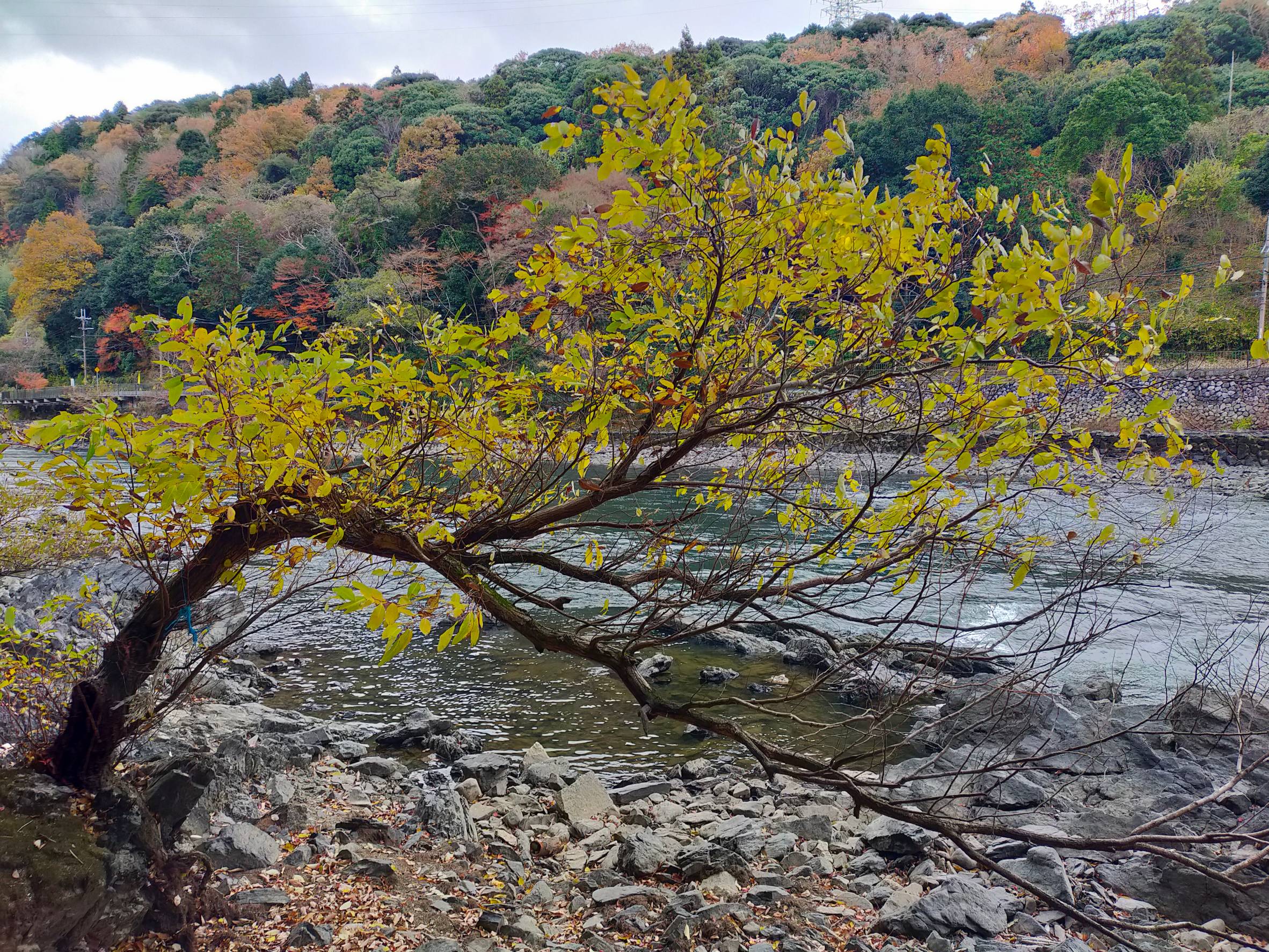 fhUgkPoj4P1P2E1S4DgHwD9jhxrbDaSJKsl3Vl-vgnv4mZv4M6J2MvJ4NJXa8z67aRDr2GJ03mhYJTsdqHmcp4pXFHjllyWHl_xuDtaPSHAOu1nm4SkPyBPJyB_h_LNgCPs1Dl06N9VAVlxHgFo47A==