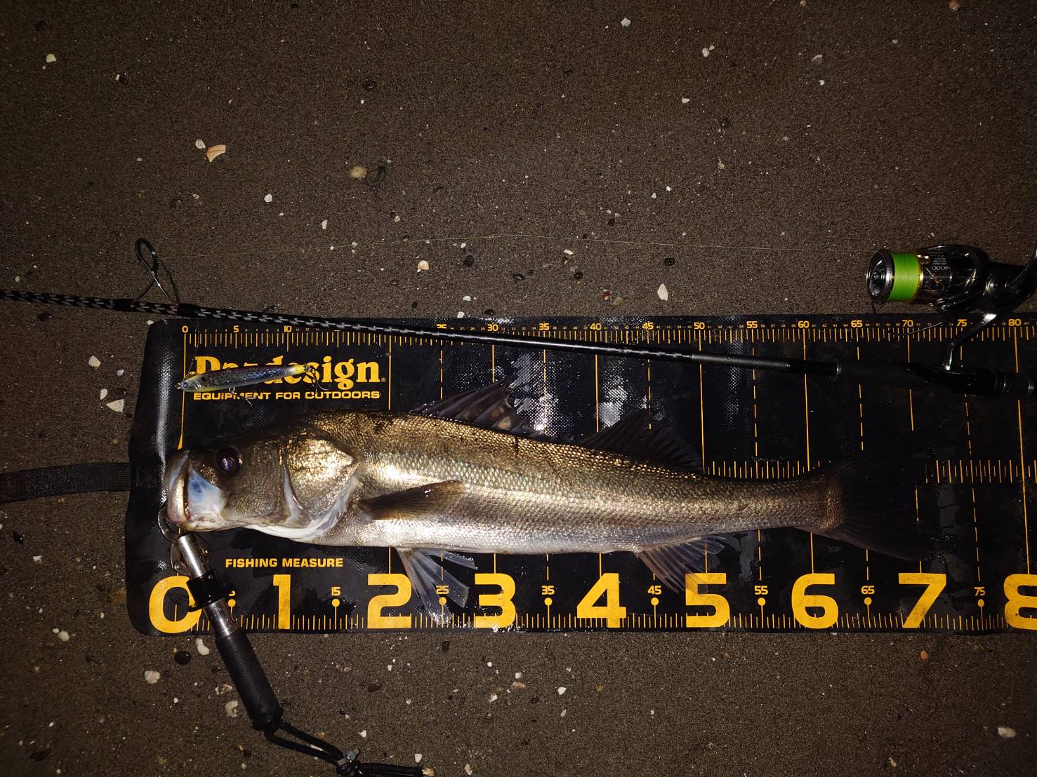 j-3eVX2GOevOT5_vfevnOalkXiDxXDuuzFn-s5XTTFwOm66d57A0mC4mbzuSDBM_DOR5JYo0OfbAZ9cm2UK4qtyAktz7VZEH7Iy_Ob7uyP973xoXupTJhJDIlo1FQs42QQq1-WG3eFy_I7uXKcbEYg==