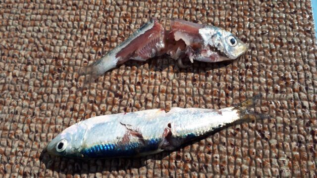 20240114_122450_copy_3456x1944