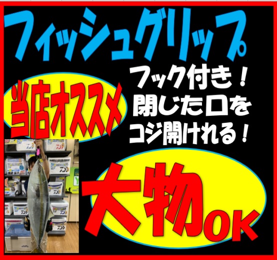 タイトルなしfg