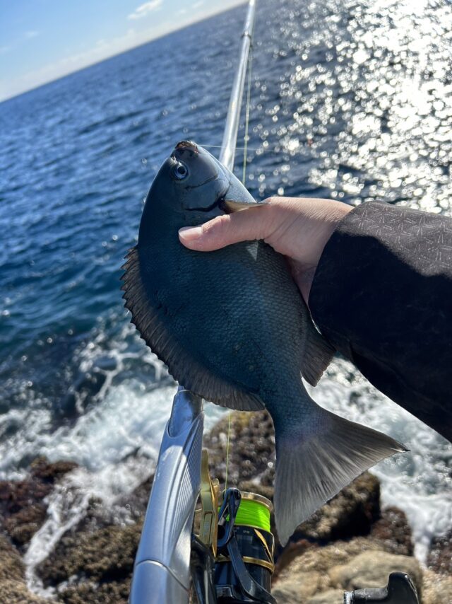 DUn39GUxYTh0jEumjEtA9KsVgRCi9ZicUnYU1qP0ozM78axbgK5hfarbQQwf986pqLc3hZMLvFqu-kD-00CcGCz0kgzam_sO1UncaOKx9jCQMxkvYI7aNFkCM6GCGSIrz-l8wzGQwHLkU5ioxg2GJw==