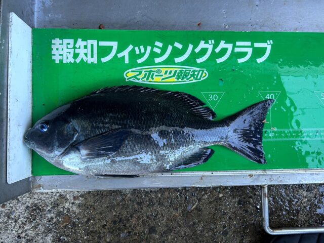 J7BZwJQ7i8tEcPKPNB-81Jwy4urfYiG9MdHYyCrbwTEGdYq6ejMrylizlMrjcBIk3Wioz1E9xQak0TfOYXhRY0zHicj1QnS-z5WMJk49l42CyE3U7XmOcSVe6k_ayyqBr6fRbKROf4YksHppMo5QDQ==