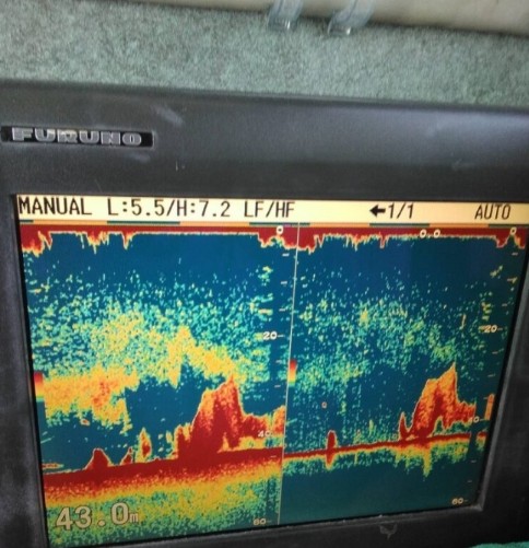 Screenshot_20240114-210205_Chrome_copy_484x501