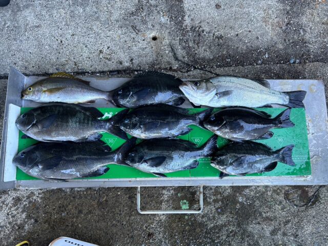 TWuwbz5pG_waIzRF7KtvuzEAK7NhL4PadmWUx57cbNfpFpopffxsKXMYSgYdhIm3EWZtp66fPeyyDDVfPud2sTFvC_s-sOOTY9-XUn5nA3db6T6biYjXDfdcjGNQXLhI-Y6RmCFYWj9R9NUu3GhWkQ==