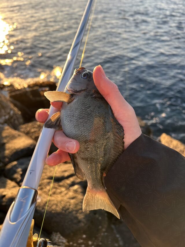 iFoha1iLvhnxJQiqVUboD_dA1_jb7Mav6YZyzGYUlAPdl8fUmepVtQOC-cAnLcokBXgGCN_EU93dTB1qtUoLqixJjE6KqsfB86fyBGt-Iog4GFg4vcJp5pBXh3fYhrwVxjd32DvNFM_jZ_FnFQeU0g==