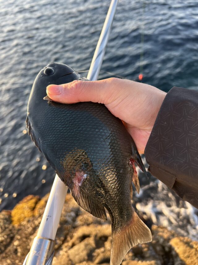 ljC5tkH4Ep2NmDFiiWfsFc_Y1rePaHfHydANP5QYNQnjPt16nMA75faPoJEo49cbumi1X_ngNrm3YxDlYEW6bHXNtGENxSmqVpBdJ8BRy55qJhLgqsypN_5LdFnSp2zUxjd32DvNFM_jZ_FnFQeU0g==