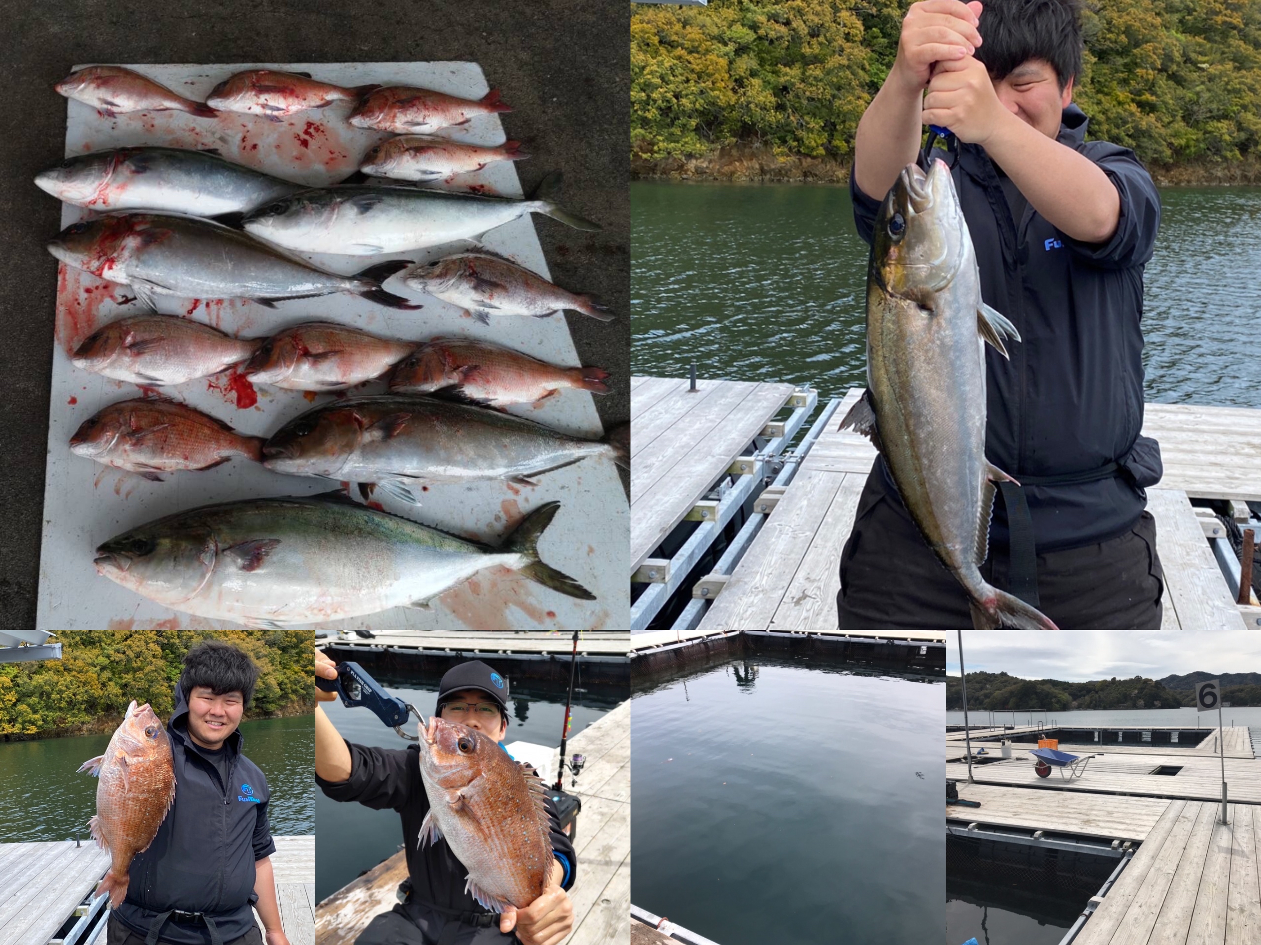 2C51A39A-8C54-4684-9CA1-