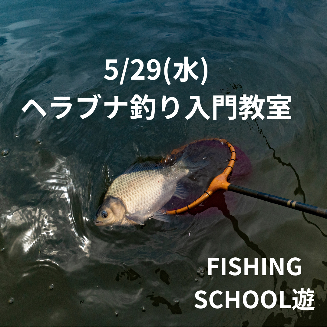 529 ヘラブナ入門教室 (1)