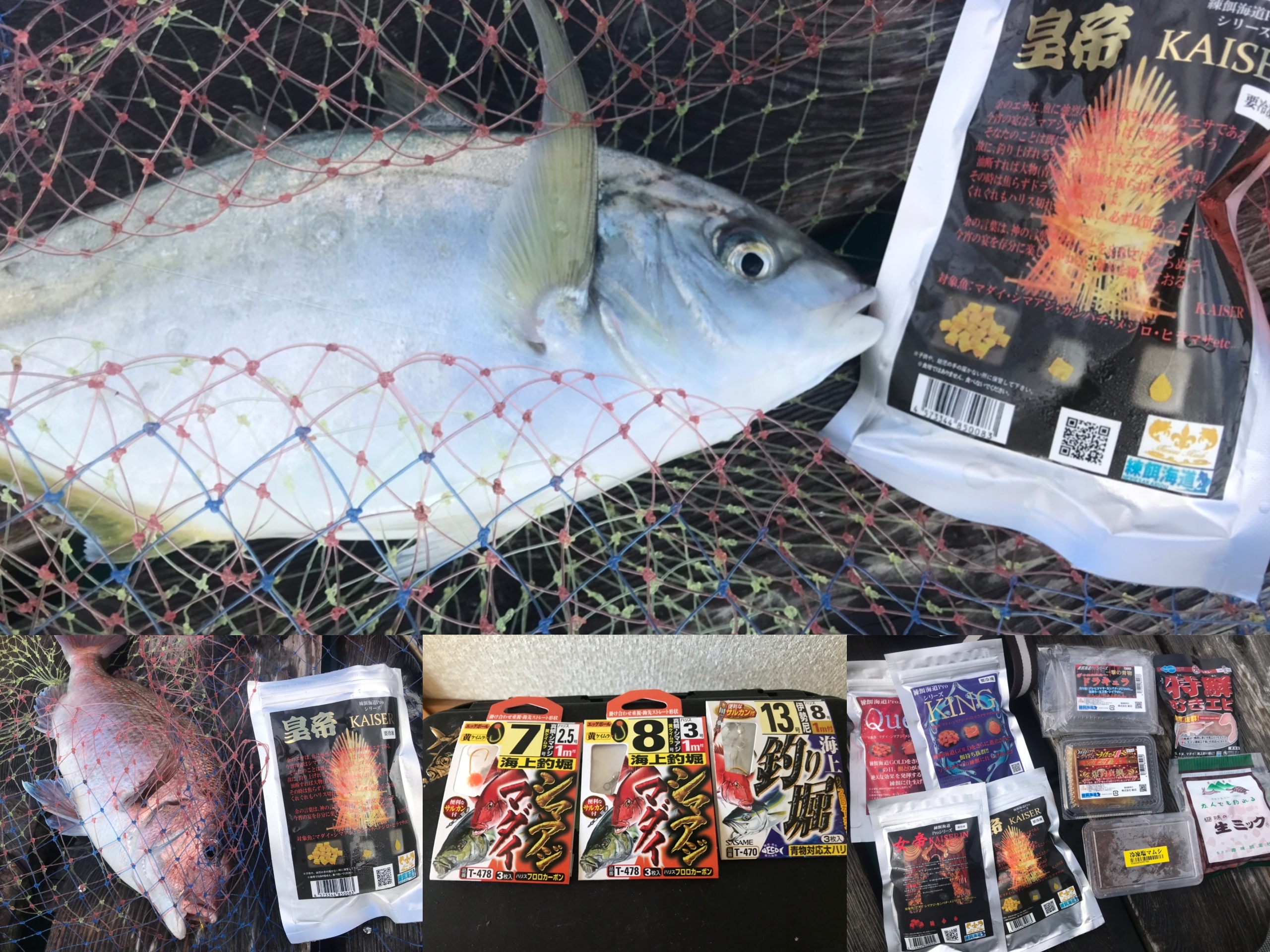 海上釣堀/正徳丸様】皇帝カイザーでシマアジを初ゲット！ | フィッシング遊