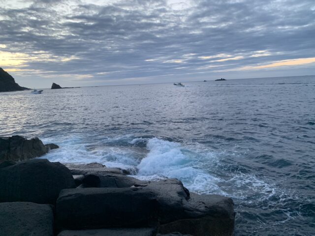 J7dXPwbmtExV5rkpYiHyboBEj_nf0nKZ2q_SuhPyWgFxm6FyODxpS3qmYEOsCEd5f4AJdzmtKygRXLS6SP3MWWn3mUZ4MVN03K14k3eOZk5HBnrEN83U57YWWnfy_nnqxjd32DvNFM_jZ_FnFQeU0g==