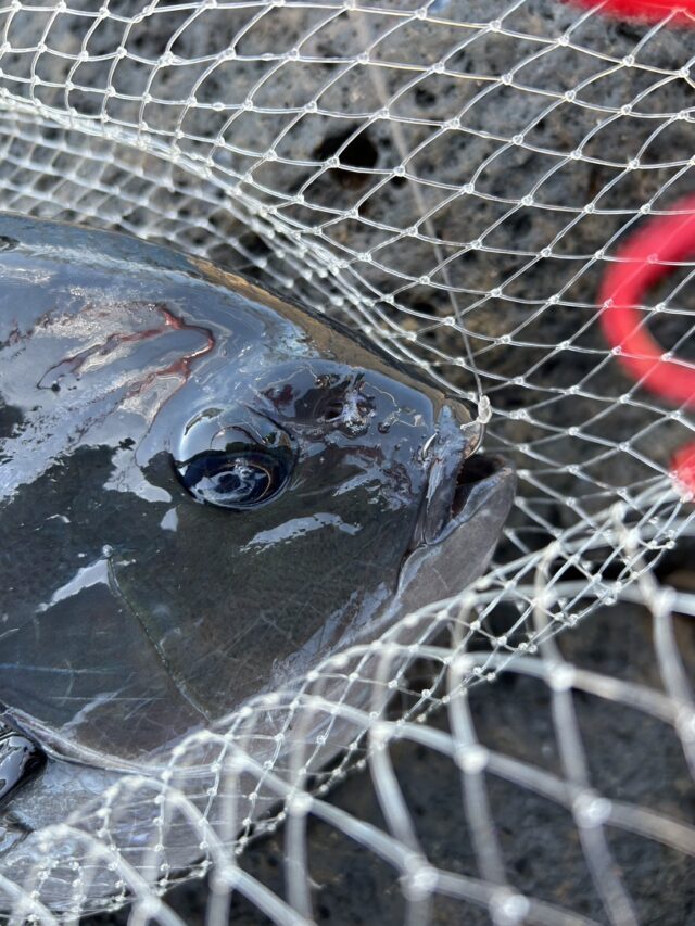 NcOXUXibDHIjHCkiOMUz15xmgLGTcQK8SB1zxcjiTNI1GDwrTfphroM1cBxhupRZLrePGPvP-cksm20Pgga6Gt-XecQ5Nx0-3jb5O3ije-L2C3Mykr9KPq9DR0veqh5Oxjd32DvNFM_jZ_FnFQeU0g==