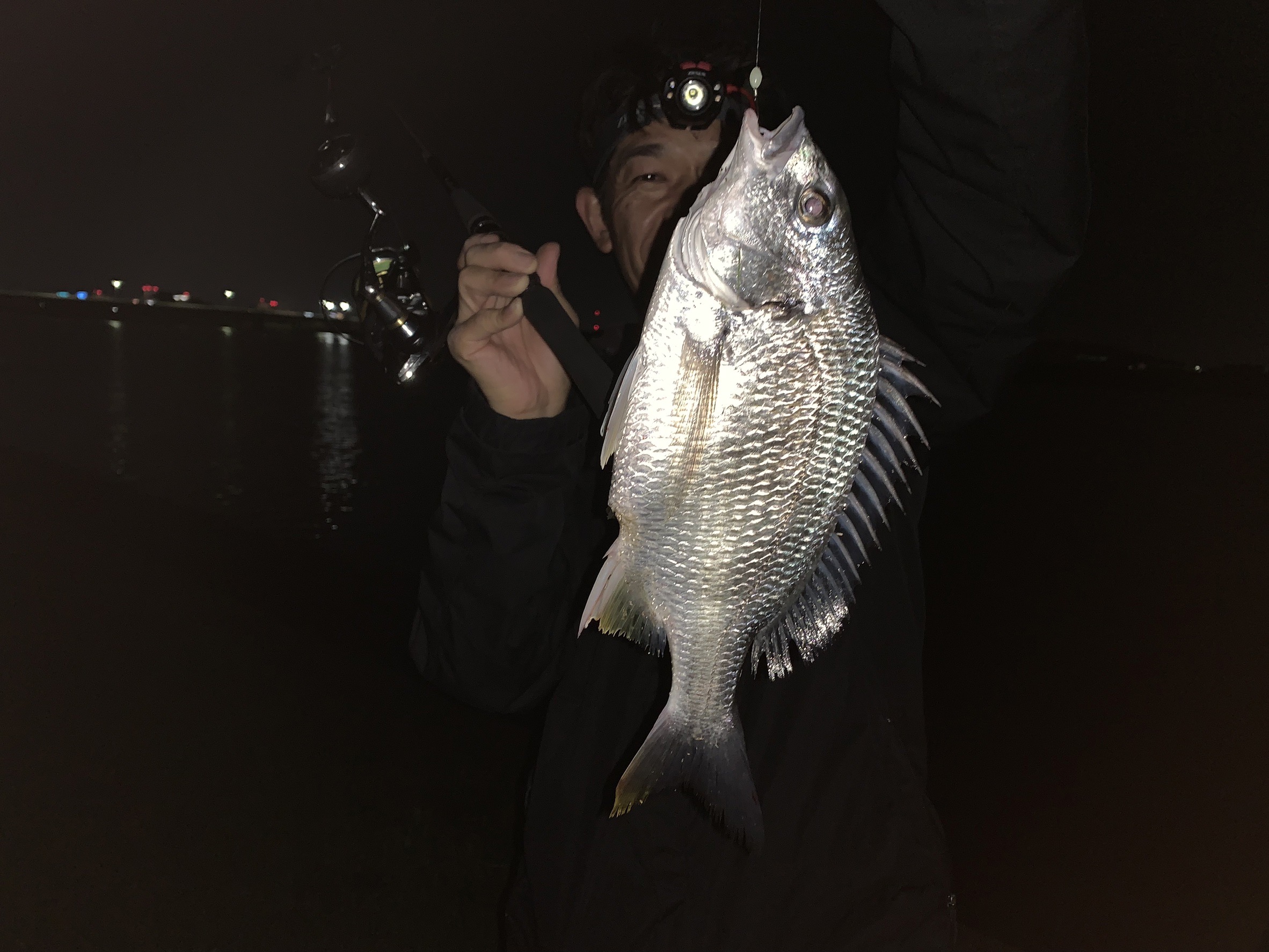 moNRp6AbbVJWu5uiVRdtajERPH8H8ahyt1jVg3EW_2dVuqJKCB-Qih9ShPTGbUmY_xrnW-M6xsghxuOEFUJBIytD983wv-LOiO3wFx6I2aLJCPA-G8hM5wqpmp6cjqShkCPUNF5rJUTpUxwFl42Qjw==