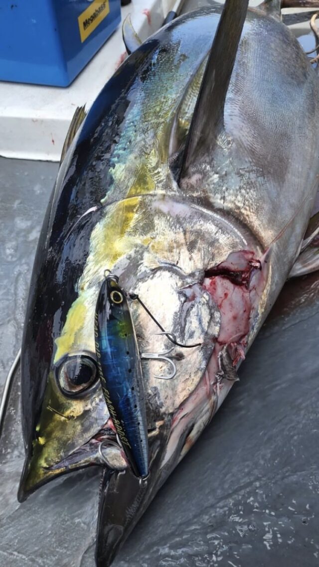 sqBowWUD_RoCbL494eSTHA5ua_y5yMlDOSyez1-xxzMLNN6yd7J-hYn_2P_Bc4i3AFuqb26URRrAO-_suzTaJiWpll8YxPs1oagM1Z10Y89kbWCDxLNBAXTT1Pkq1_q6dWH1GW1Hzzc1ZjJIrpDCnQ==