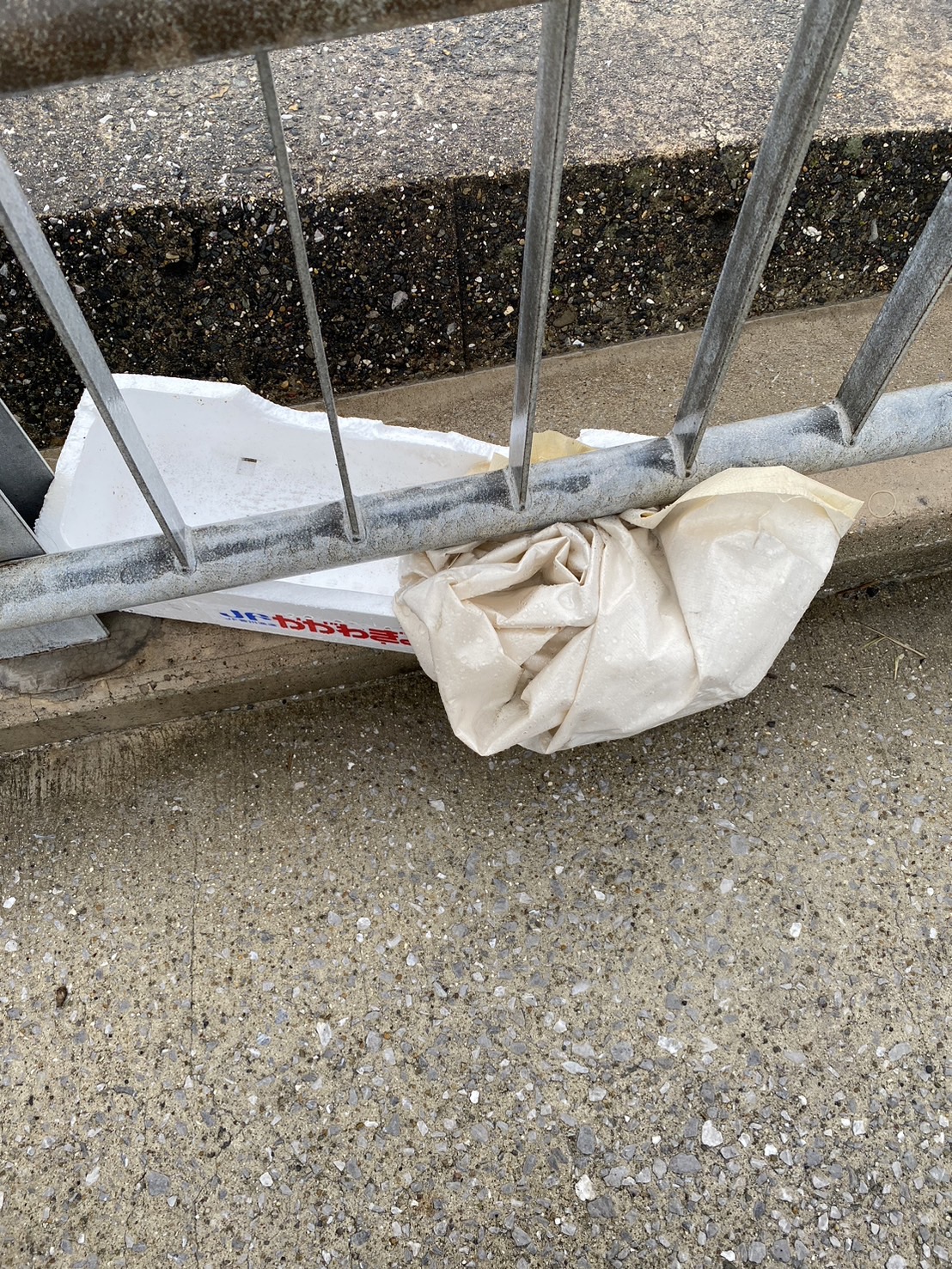 yxXPCD5ZT0jDnV7e4OwhKeGsQfSijF5tugqCx3fDt0OAmg2tSTUWUOMxuxcelobj9BSqEMhlj_huywt7G0Bv24ksA2xUO7gux3zjm36H5WaNuOcl58wwE6zBanKDoLX1OObrIXWDvj3wvVZWXR7TOg==