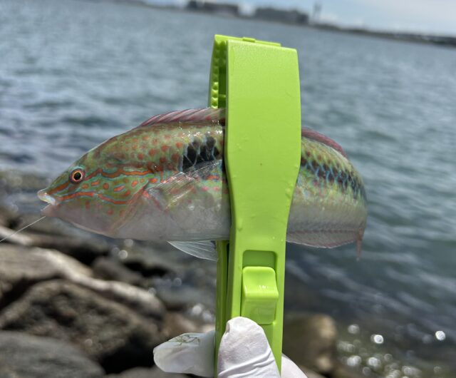 32AACF5B-F831-44DB-969B-258B5BC9A844