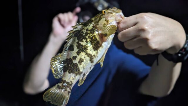 98qCc_5gOinGdwVFbNjGnA8ad7yavA5YKKjbPQsPGT-kNxd35xq4bbLn9SPJ7MM97vlkllTb0A7WDNx3CEQs6D-YeDVT-Zu5kTLaV5r0RHo2yaDlPCCLrdSMu58JFfYKxjd32DvNFM_jZ_FnFQeU0g==