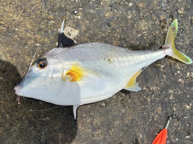 B251269C-004F-4FC2-96E2-1C54448BEB3E