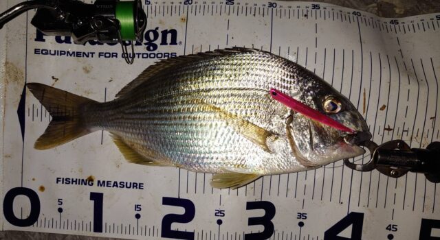 B9gaQc_kF7dZp8_3xoKDG-Us-OrhZ5hGoK52zORW3owL4jpbTPxHZyXdrXfaPal0DOfLytvCI4aP-IZcGUTG8fAlRfRiaeh0XB6jbsgqHgwr_BwopG6i4xeIAWxUDm6ayoEYSNdl5TIBu65cFcBv0A==