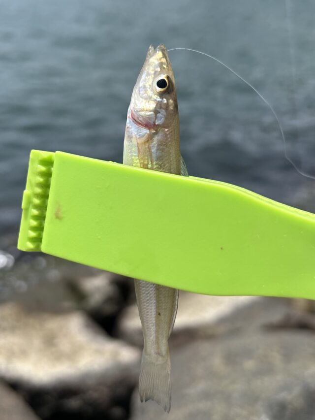 F80DEC18-3C53-4FAF-BF13-50028756D2EA