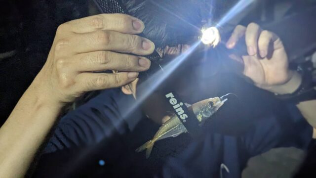 afI-Z0jdeCiMubMA3bsIlwvM8NvFsCNXrZaxW4x6lYH0qW0ClZl9tODvAeq4tXcxwufnLBfB3ZLrDmKSWQGvJqV4e-E2jXmPznIYgLx-PIQiBaEQ8a0Ve8MjMZl-LJfLr6fRbKROf4YksHppMo5QDQ==