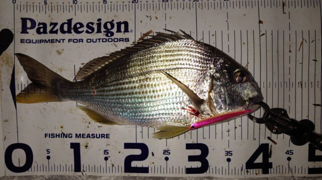 pQgUpT6kUSKep-Kancbw5ULOVYz6WUWvlcPjO55VF8mb8DQLwsngc9YalHWaVBG0Vxa0lR-VGGUnxD_zKx_ojSBfmPNGn9tArpZPQQsi4IlYnAAnTe5JNio_WeRisd_Nxjd32DvNFM_jZ_FnFQeU0g==