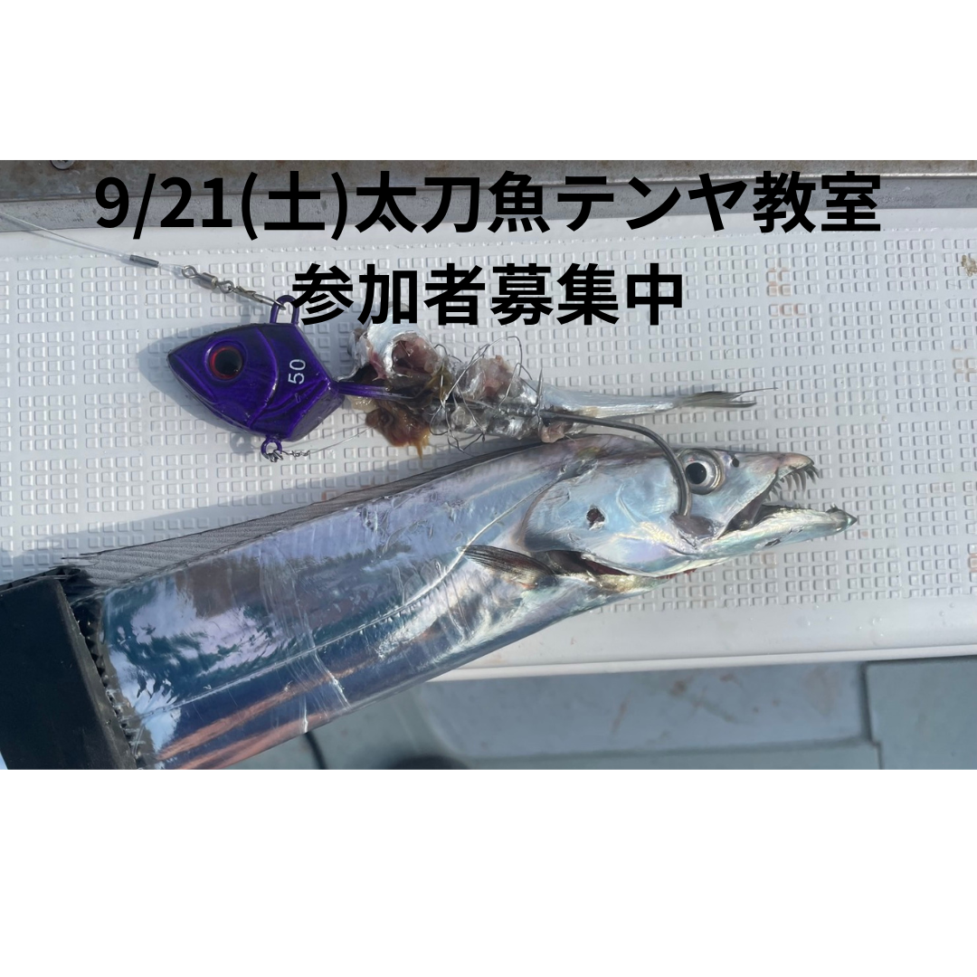 921(土)太刀魚テン教室 参加者募集中