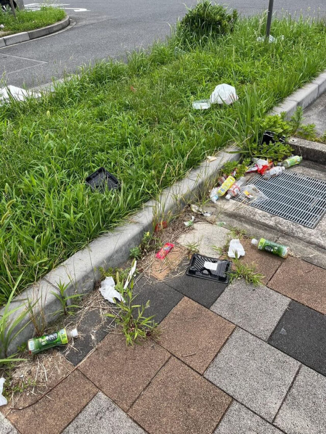 F2ED5B40-DB7A-45FE-BBD1-E02D4E05E31B