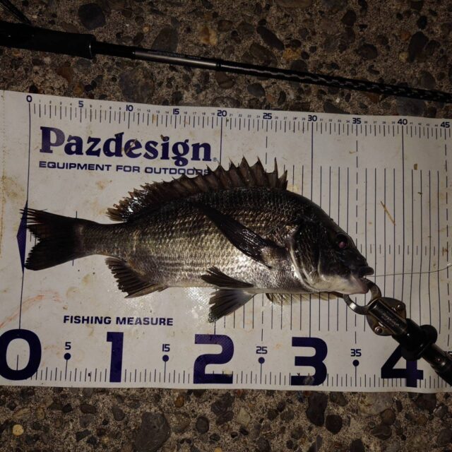 HNtlcArvSUEJibyy82EvxwJhHo5qgnjsIYddEo_O-K_H8VFBUOQ8gZXj-9hKTVBvURBe_DfP6feDEggcE_4IxYcdhoBD_vYeGvnRPVOoA_KF3tFu3iXDDHiDx4Md8VJ-xjd32DvNFM_jZ_FnFQeU0g==