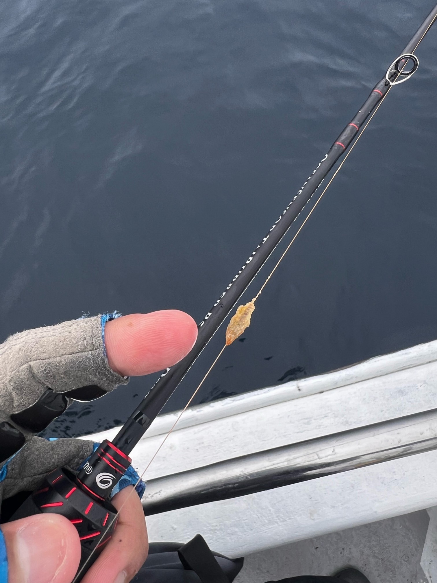 !cid_903AA3A2-6D64-4864-A058-7597B8AE666E-L0-001