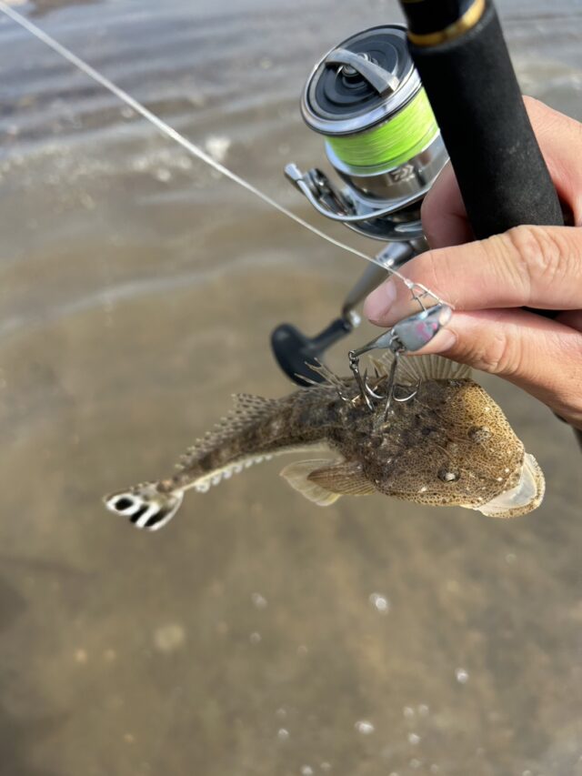 _iUxqghhAvN4tcGLsouUm5yrIohKXgPOLnOtjErIVunQ0ozwMMRDFkGkSk8NFdZuo9XA-913Dk9NJdrXs5EL0z2mxkDTqQP2hGP09EIuDuzkJUY8y_iFSwZoqC-0gT1qjgTjgTGATm1_gXXKFHhmhg==