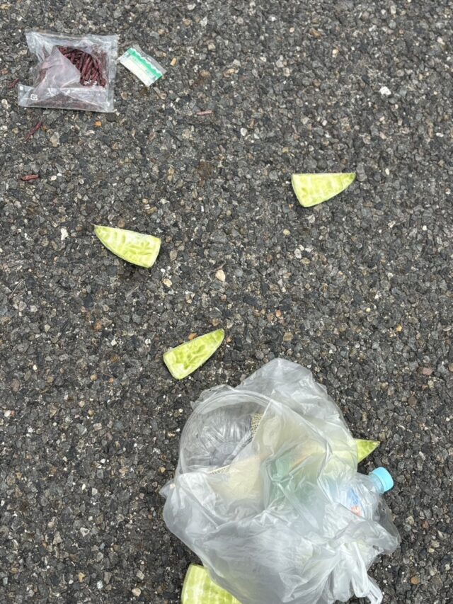 line_oa_chat_240708_174019