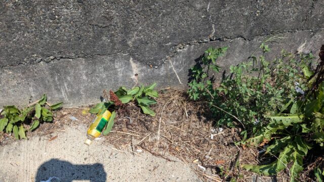 line_oa_chat_240722_174603