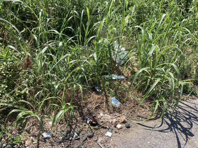 line_oa_chat_240722_174609