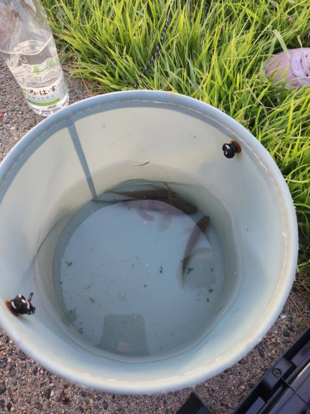 line_oa_chat_240728_202853