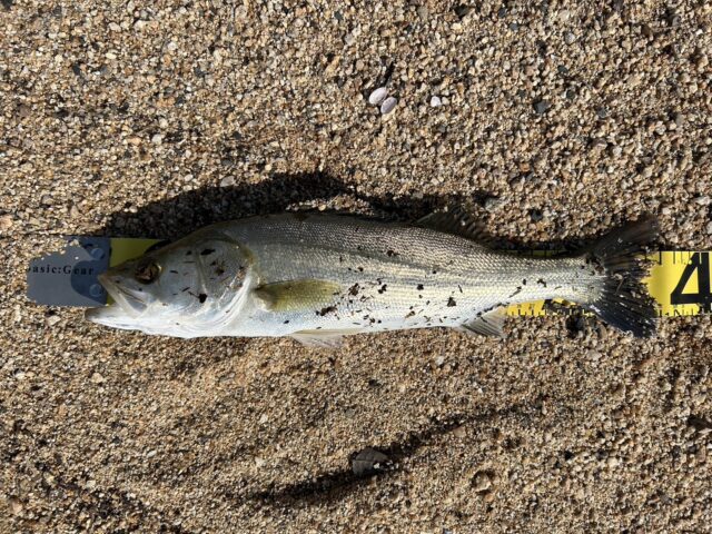 r-saCHGtR5wsskhReUYXqF-1cqgaY_0JcP2TblRq9HfuTFCU7cIB1M1m6dNH-yojL5wl50dLxUqL7jP4h-SfnVgKNO0HDC4LnGuetK8WDAzgHfgdMheRduEK65YhwXZYhQ7XXNlMIvOKyR-Uke5ipw==