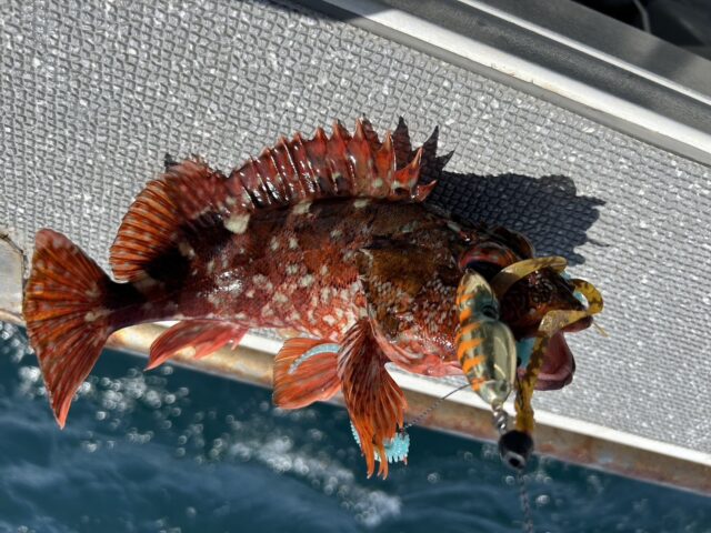 vMosMXyVdxQJdIDZKJzNpElSbHxhu2I55Eq2vFhaLbgiL11LL0BQSgduI_sgBOE8Znnyy6c7JmbfVEasE1syqeC_bevyWi7PPY7WlDu6wAJTQgDOLQbo0HQwauExmUG1xjd32DvNFM_jZ_FnFQeU0g==