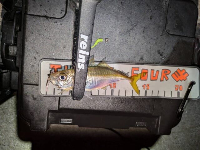 3Fn0dWmdvV8G4Zv0FI5eSGnw8_BfQYAJN9SrHZ6Z23fhO5GEJ2ecZ8Sblre0LlhGOSNdBaOLVzJIZBFXVi64enAzETXDtQYY_4Moz6wmzqjJVEn9_KBNIhSs5qI4eJG5kpngZXezwyv0UN-p8nCI8Q==