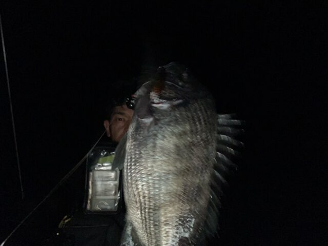 A0hZsXpCabj_MPh9dKhT5j-HgM5dP3fEYvVDHsmIDVgIczTU6jSk5qavUWau7DT0MnPTKdbLvultRmu6KMshgy1vvyUHTJQY6HOM-x4Xrv600tb03IVwxp_bISfrhQSHxjd32DvNFM_jZ_FnFQeU0g==