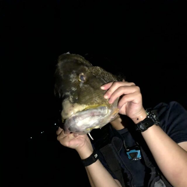 IMG_20210401_125200_706